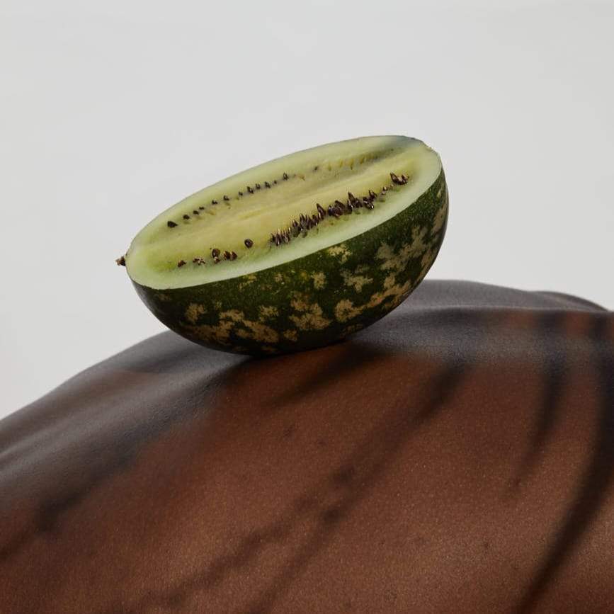 Kalahari Melon Oil From A Wild Watermelon