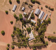 Organic Farm Growing Wild Watermelon Kalahari Melon Oil in The Kalahari Desert South Africa  